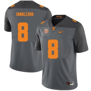 Men Nico Iamaleava Gray Tennessee #8 2024 Jersey